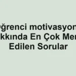 ogrenci-motivasyonu-hakkinda-en-cok-merak-edilen-sorular.webp